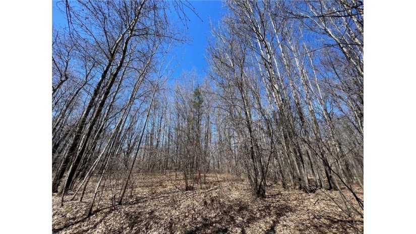 TBD Highway I Minong, WI 54859 by Timber Ghost Realty Llc $34,900