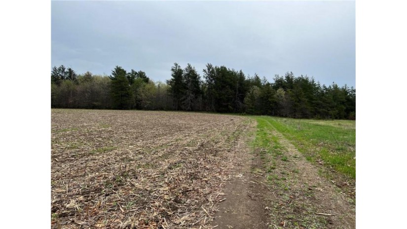 Lot 1 Wissota Acres Chippewa Falls, WI 54729 by Cb Brenizer/Chippewa $78,900