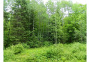 On Price Dam Rd. Road, Winter, WI 54896 by Birchland Realty Inc./Phillips $47,900