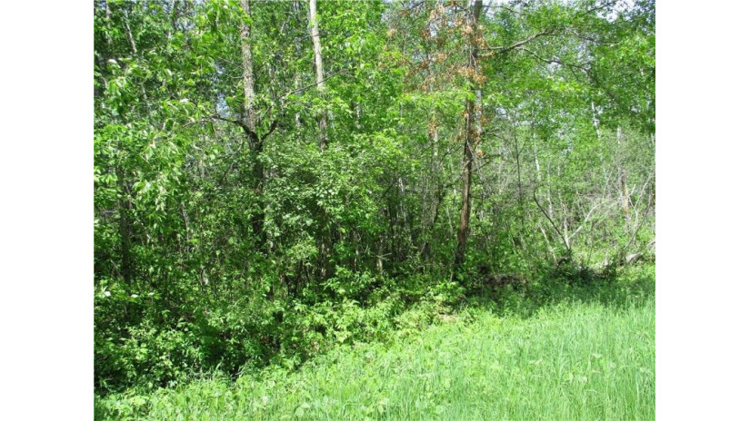 LOT #16 BLOCK 25 Eden Avenue Birchwood, WI 54817 by Dane Arthur Real Estate Agency/Birchwood $15,000