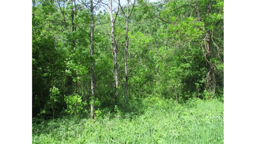 LOT #17, BLOCK 25 Eden Avenue Birchwood, WI 54817 by Dane Arthur Real Estate Agency/Birchwood $15,000