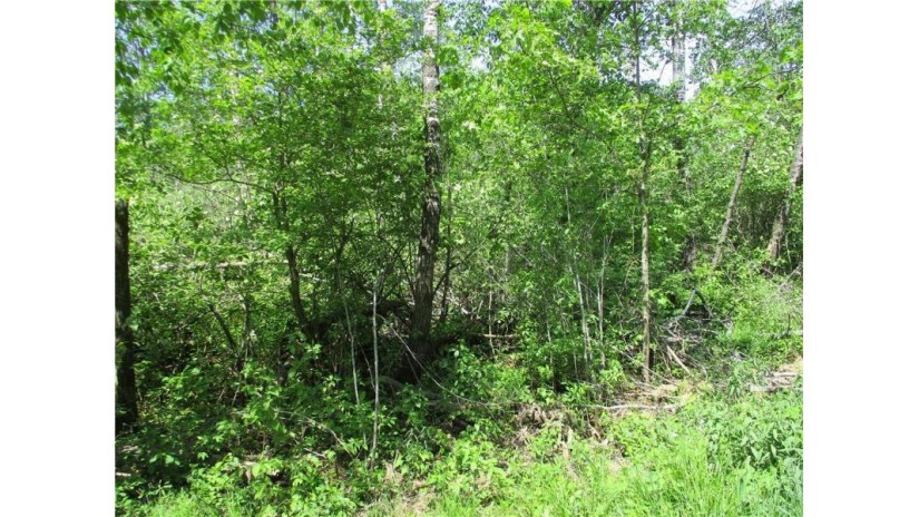 LOT #18, BLOCK 25 Eden Avenue Birchwood, WI 54817 by Dane Arthur Real Estate Agency/Birchwood $15,000