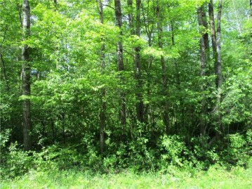 LOT #19, BLOCK #25 Eden Avenue, Birchwood, WI 54817