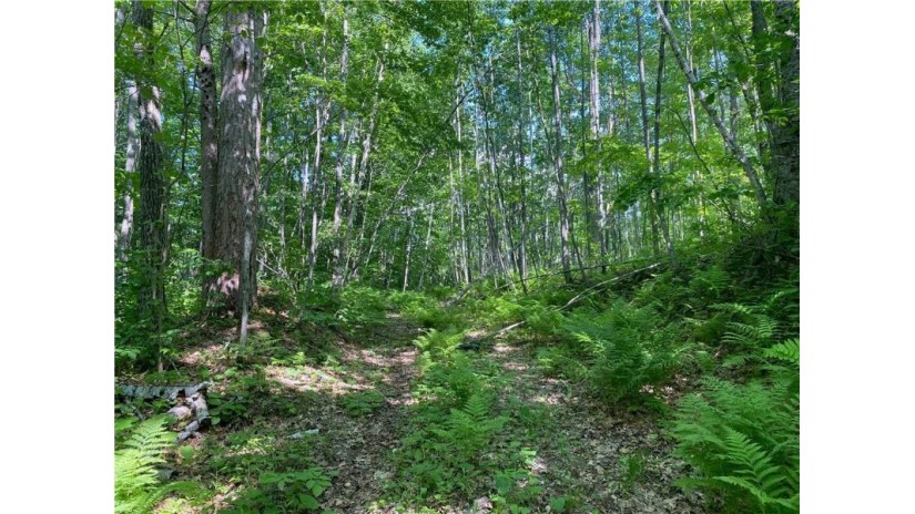 Lot 7 Secluded Trail Hayward, WI 54843 by Woodland Developments & Realty $37,900