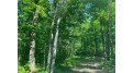 Lot 7 Secluded Trail Hayward, WI 54843 by Woodland Developments & Realty $37,900