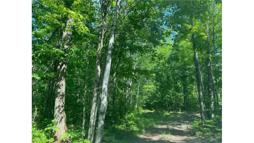 Lot 7 Secluded Trail Hayward, WI 54843 by Woodland Developments & Realty $37,900