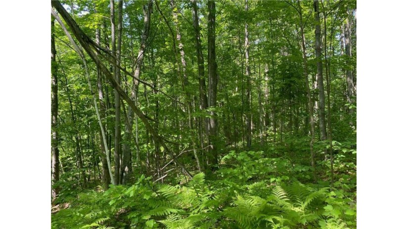 Lot 7 Secluded Trail Hayward, WI 54843 by Woodland Developments & Realty $37,900