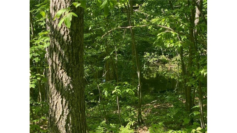 Lot 7 Secluded Trail Hayward, WI 54843 by Woodland Developments & Realty $37,900