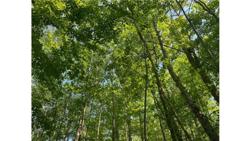 Lot 7 Secluded Trail Hayward, WI 54843 by Woodland Developments & Realty $37,900