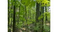 Lot 7 Secluded Trail Hayward, WI 54843 by Woodland Developments & Realty $37,900