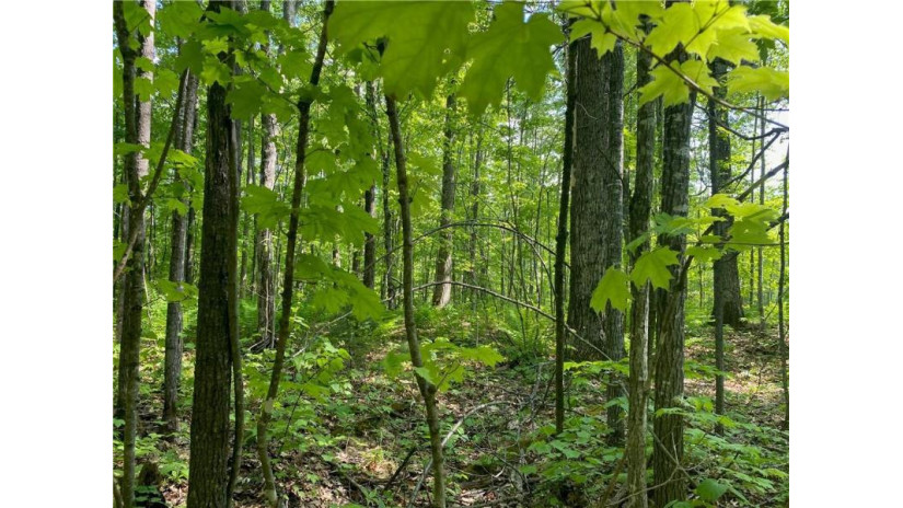 Lot 7 Secluded Trail Hayward, WI 54843 by Woodland Developments & Realty $37,900