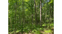 Lot 7 Secluded Trail Hayward, WI 54843 by Woodland Developments & Realty $37,900