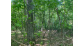 Lot 7 Secluded Trail Hayward, WI 54843 by Woodland Developments & Realty $37,900