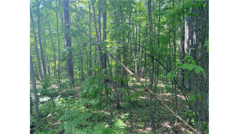 Lot 7 Secluded Trail Hayward, WI 54843 by Woodland Developments & Realty $37,900