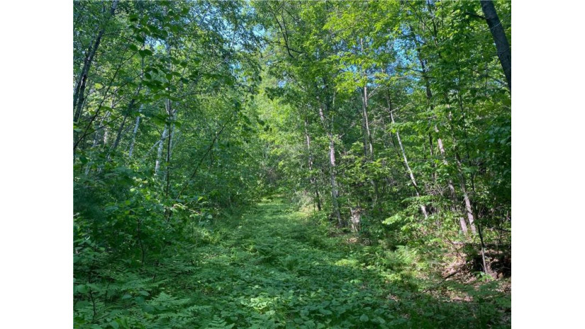 Lot 7 Secluded Trail Hayward, WI 54843 by Woodland Developments & Realty $37,900