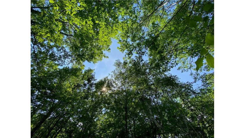 Lot 7 Secluded Trail Hayward, WI 54843 by Woodland Developments & Realty $37,900