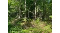 Lot 7 Secluded Trail Hayward, WI 54843 by Woodland Developments & Realty $37,900