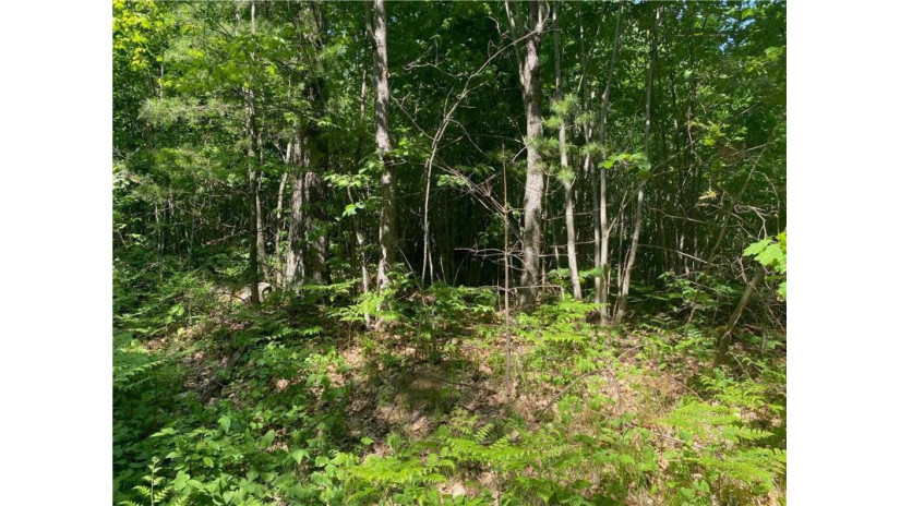 Lot 7 Secluded Trail Hayward, WI 54843 by Woodland Developments & Realty $37,900