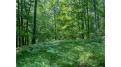Lot 7 Secluded Trail Hayward, WI 54843 by Woodland Developments & Realty $37,900