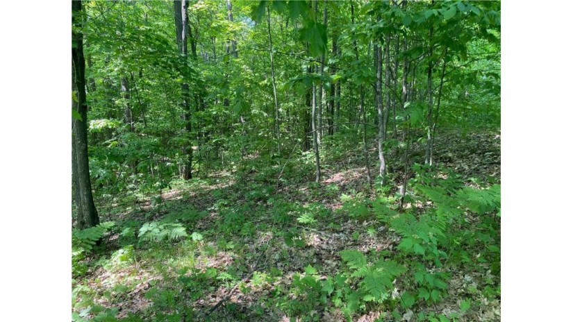 Lot 7 Secluded Trail Hayward, WI 54843 by Woodland Developments & Realty $37,900