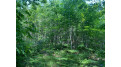 Lot 7 Secluded Trail Hayward, WI 54843 by Woodland Developments & Realty $37,900