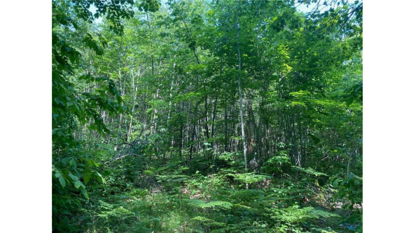 Lot 7 Secluded Trail Hayward, WI 54843 by Woodland Developments & Realty $37,900