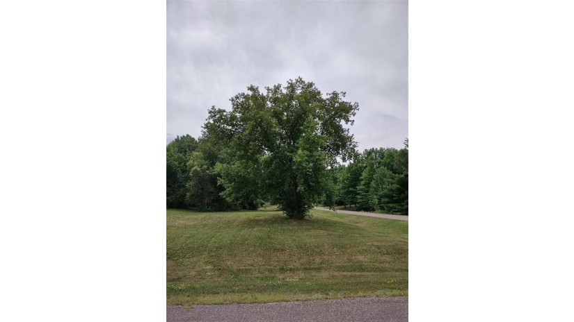 Lots 21 & 22 20 5/8 Street Rice Lake, WI 54868 by Timber Ghost Realty Llc $37,999