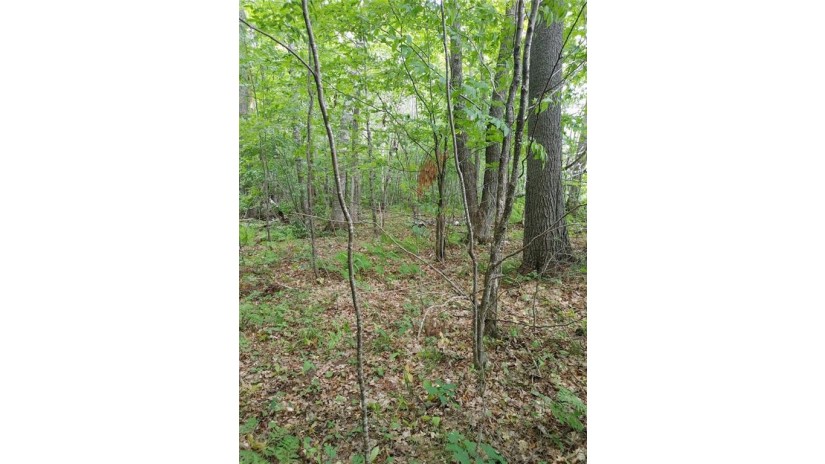 Lot 12 Peninsula Road Hayward, WI 54843 by Re/Max Preferred $49,500