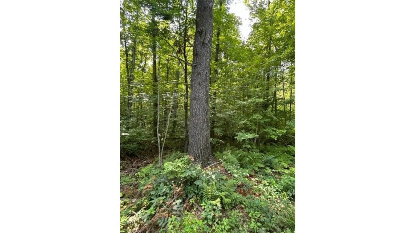 0 Wild Wood Lane Birchwood, WI 54817 by Associated Realty Llc $34,900