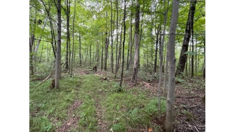 Lot 1 13 1/4 Street Rice Lake, WI 54868 by Dane Arthur Real Estate Agency/Birchwood $99,900