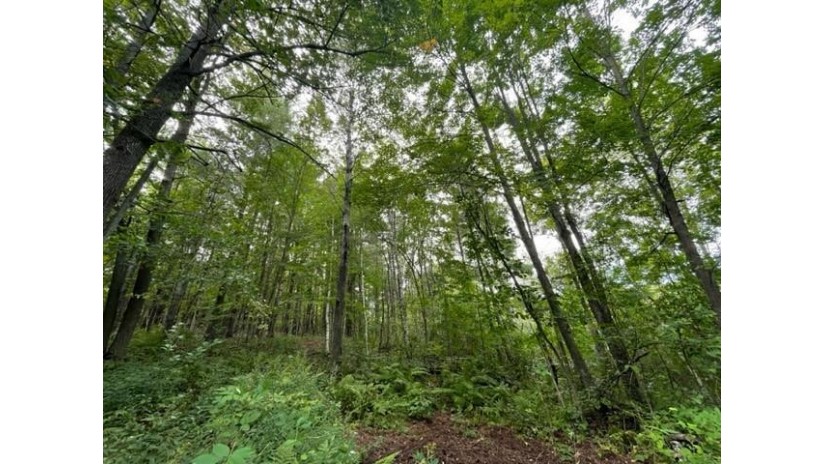 Lot 1 13 1/4 Street Rice Lake, WI 54868 by Dane Arthur Real Estate Agency/Birchwood $99,900