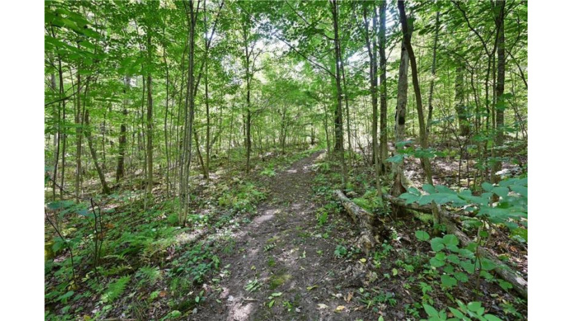 Lot 1 13 1/4 Street Rice Lake, WI 54868 by Dane Arthur Real Estate Agency/Birchwood $99,900