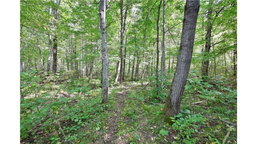 Lot 2 13 1/4 Street Rice Lake, WI 54868 by Dane Arthur Real Estate Agency/Birchwood $99,900