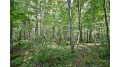 Lot 2 13 1/4 Street Rice Lake, WI 54868 by Dane Arthur Real Estate Agency/Birchwood $99,900