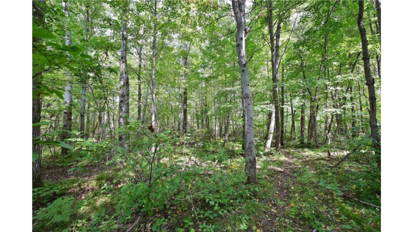 Lot 2 13 1/4 Street Rice Lake, WI 54868 by Dane Arthur Real Estate Agency/Birchwood $99,900