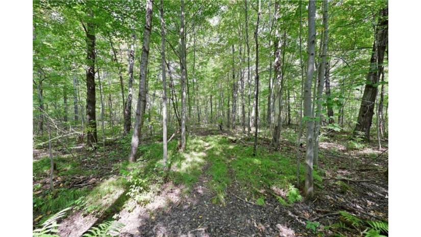 Lot 2 13 1/4 Street Rice Lake, WI 54868 by Dane Arthur Real Estate Agency/Birchwood $99,900