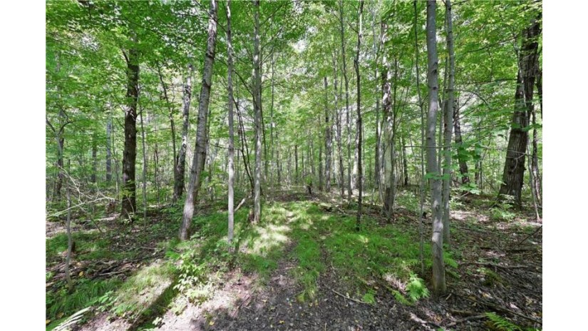 Lot 2 13 1/4 Street Rice Lake, WI 54868 by Dane Arthur Real Estate Agency/Birchwood $99,900