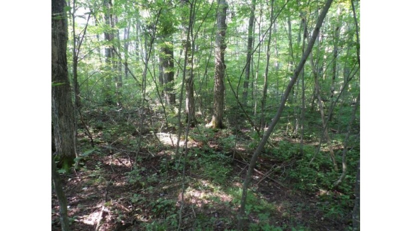 Off Gruhner Road Catawba, WI 54515 by Birchland Realty Inc./Phillips $89,900
