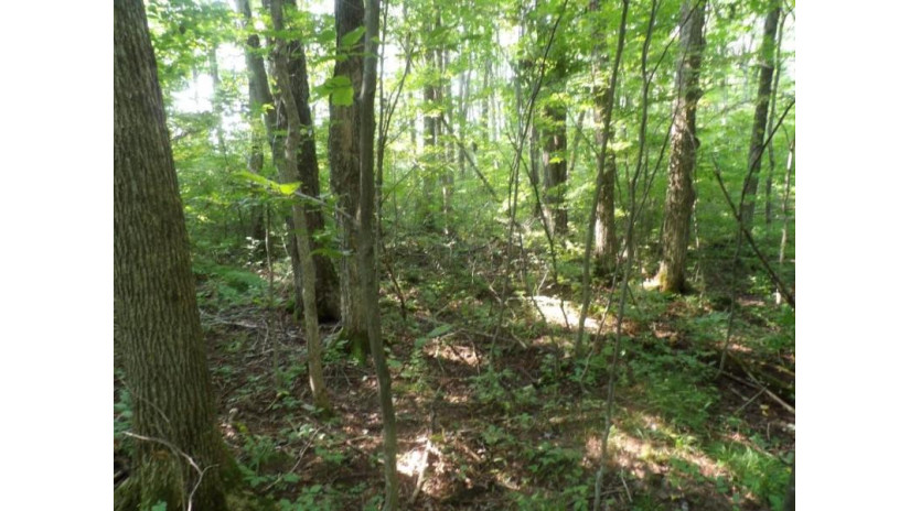 Off Gruhner Road Catawba, WI 54515 by Birchland Realty Inc./Phillips $89,900