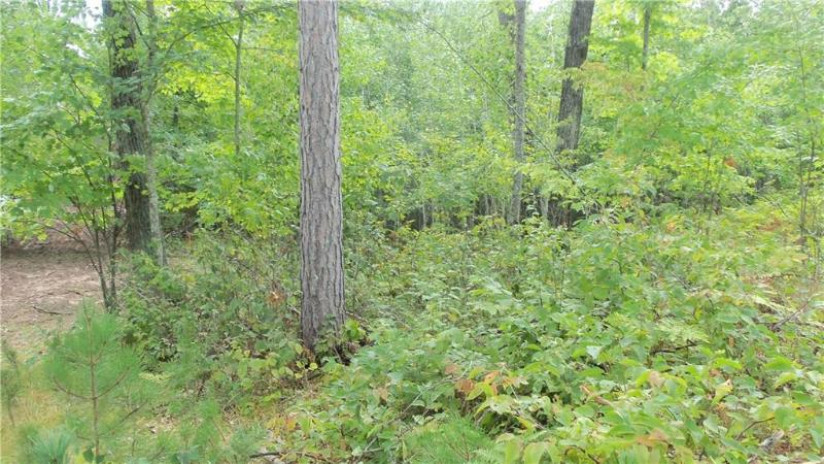 LOT 8 Cty Hwy H Webster, WI 54893 by Woods & Water Real Estate Llc, Ellsworth $64,900