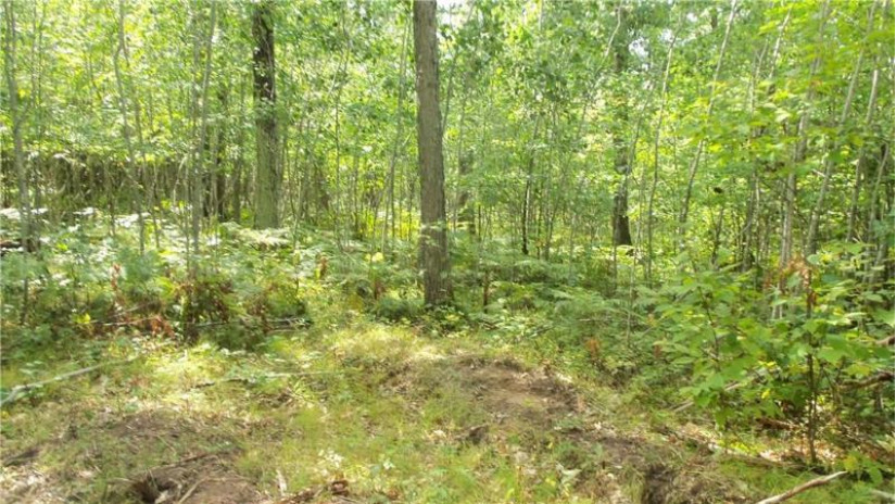 LOT 8 Cty Hwy H Webster, WI 54893 by Woods & Water Real Estate Llc, Ellsworth $64,900