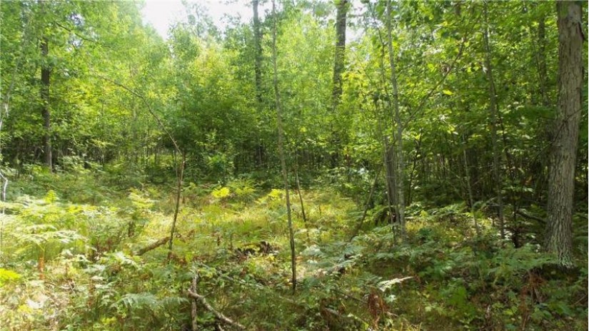 LOT 8 Cty Hwy H Webster, WI 54893 by Woods & Water Real Estate Llc, Ellsworth $64,900