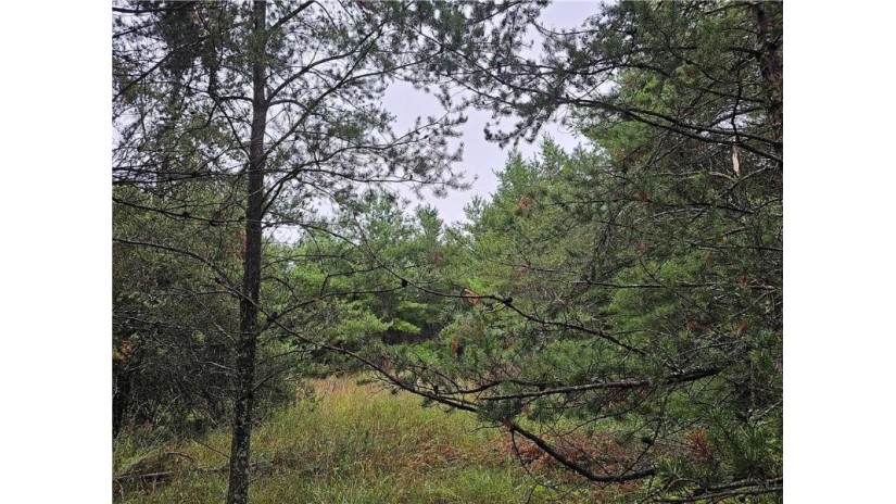Lot 1 County Road Ff Webster, WI 54893 by Lakeside Realty Group $54,900