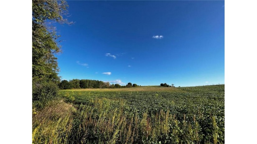 26 Acres 00 County Rd V Osseo, WI 54758 by Edina Realty, Inc. - Chippewa Valley $199,000