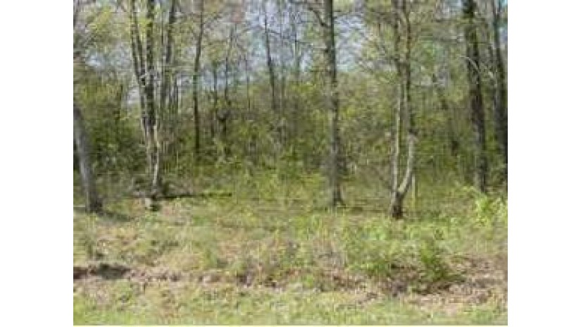 Lot 2 9th Ave Chetek, WI 54728 by Why Usa/Rice Lake $28,500