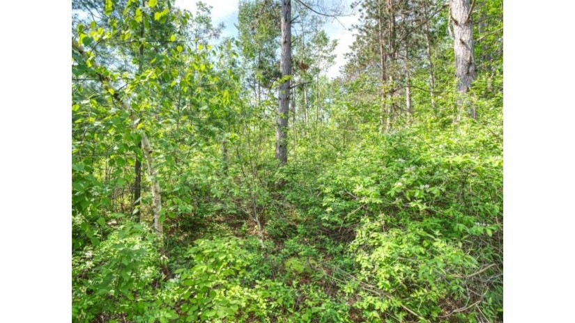Lot 3 East River Road Radisson, WI 54867 by Keller Williams Realty Diversified $85,000