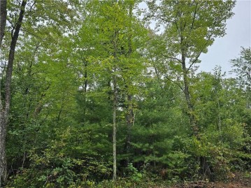 Lot 3 Maria'S Way, Webster, WI 54893