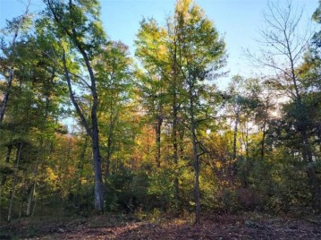 Lot 2 Maria'S Way, Webster, WI 54893