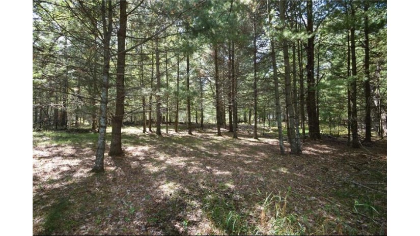5 acres Olsen Road Webster, WI 54893 by Edina Realty, Corp. - Siren $44,500