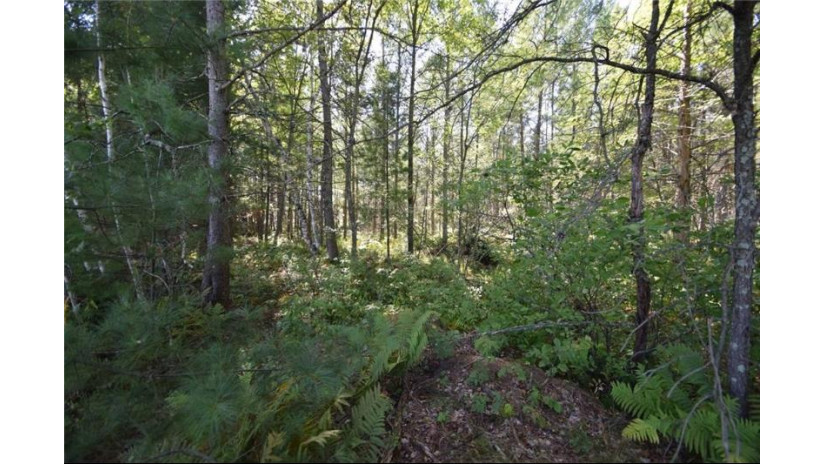 5 acres Olsen Road Webster, WI 54893 by Edina Realty, Corp. - Siren $44,500